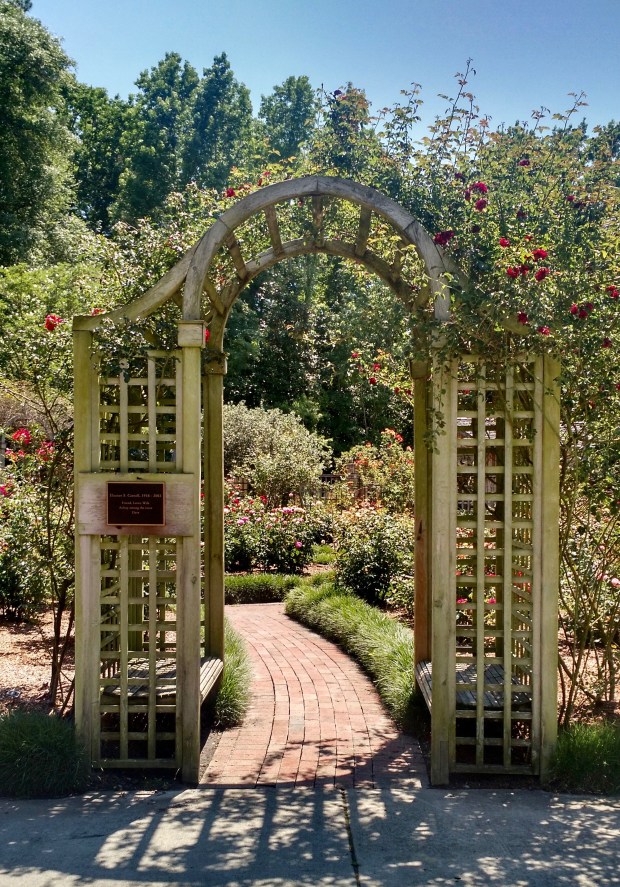 IMG_20160610_145127964_HDR